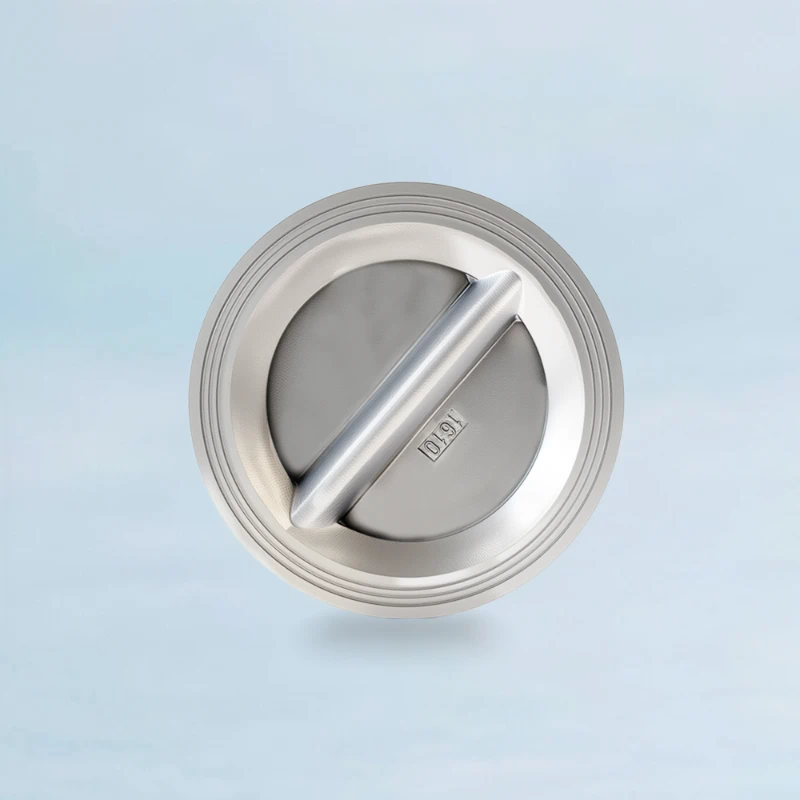 Wholesale Wafer Type Check Valve