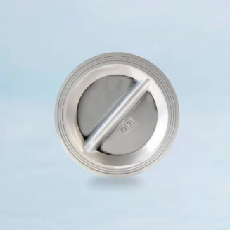 SS Dual Plate Wafer Check Valve