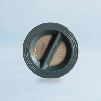 WCB Dual Plate Wafer Check Valve