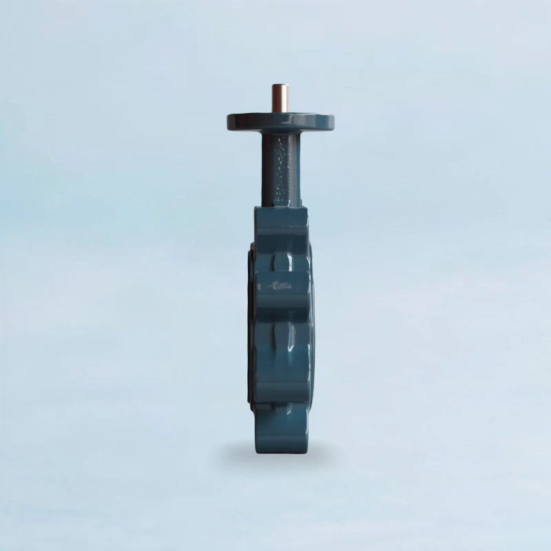 China Butterfly Valve DN500