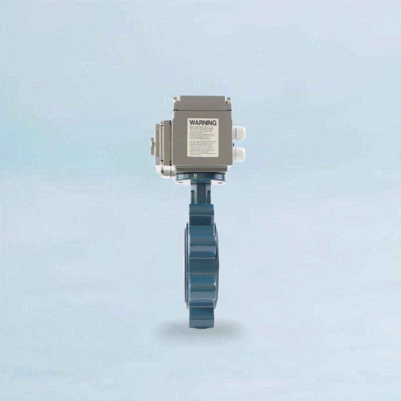 Lugged and Tapped Butterfly Valve