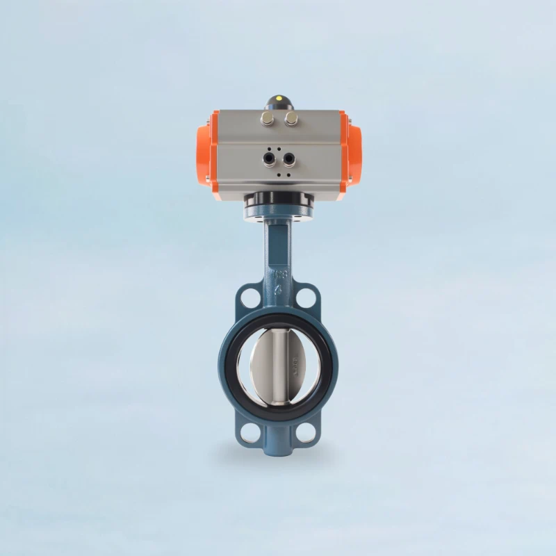 Fluorine Lined Butterfly Valve