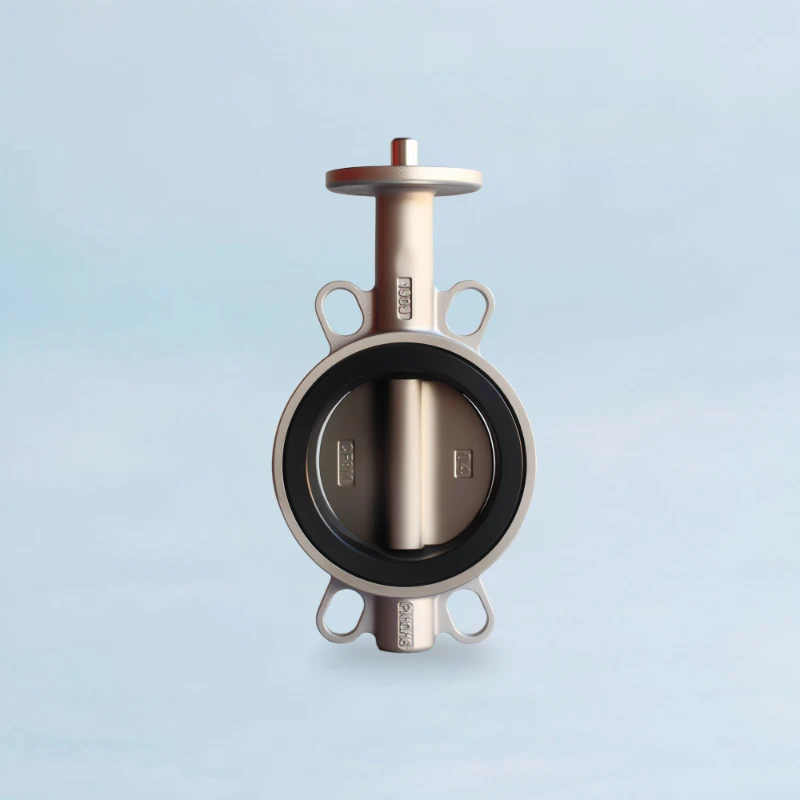 SS Butterfly Valve