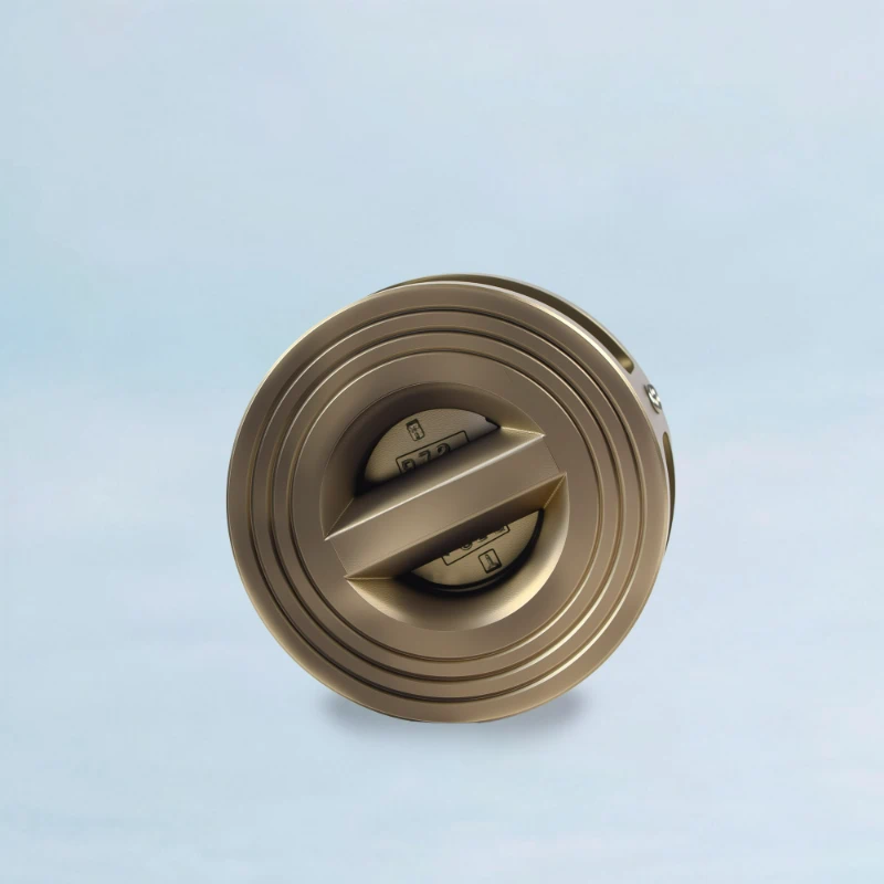 Wafer Type NRV Valve