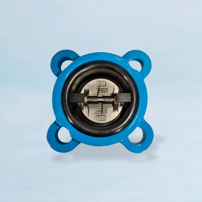 Butterfly Check Valve Factory