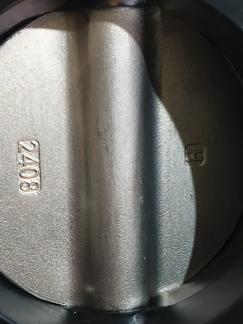 Patent Lug Butterfly Valve